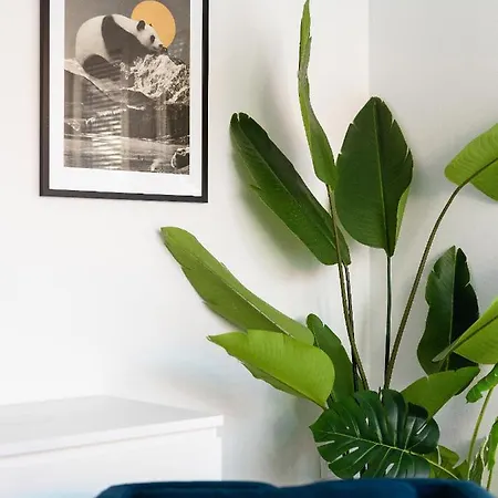 Apartment New *