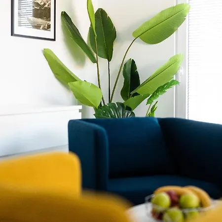 New Apartment *