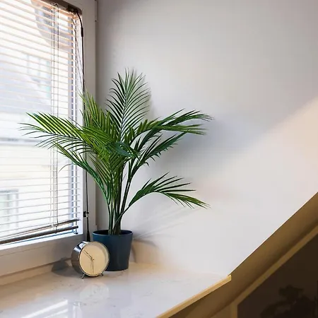 Apartment New *
